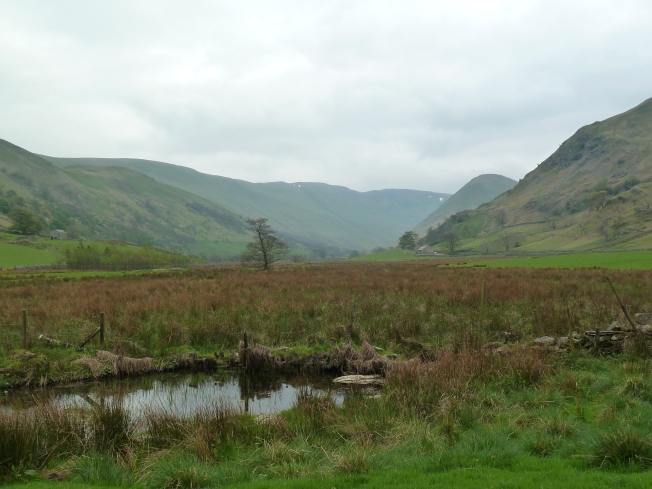 Remote and beautiful martindale.