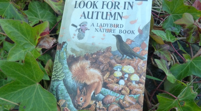 What to look for in Autumn ~ A Ladybird Nature book.